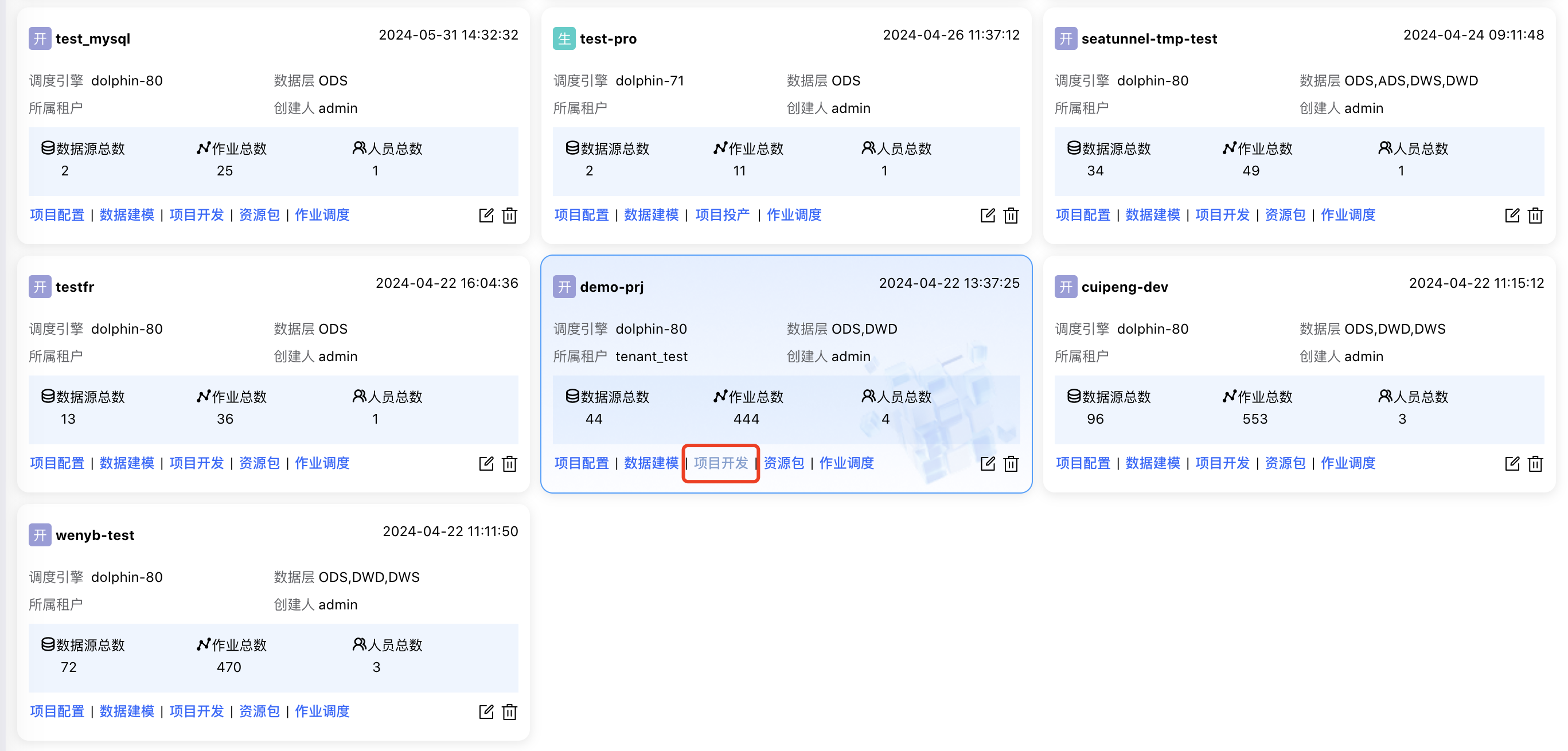 项目开发
